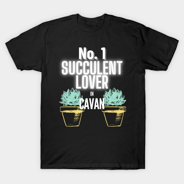 The No.1 Succulent Lover In Cavan T-Shirt by The Bralton Company